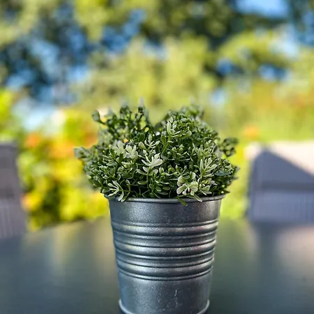 Ferienhaus Reethaus Am Mariannenweg 20a *